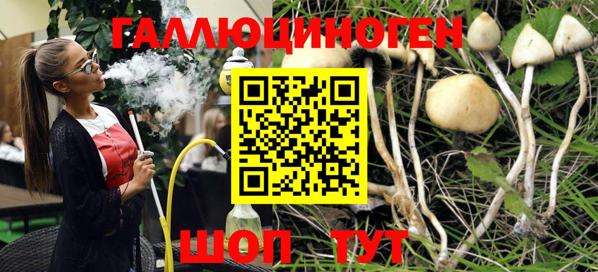 Богородицк  Псилоцибиновые грибы мицелий  Вход с VPN  Галлюциногенные грибы прущие грибы 