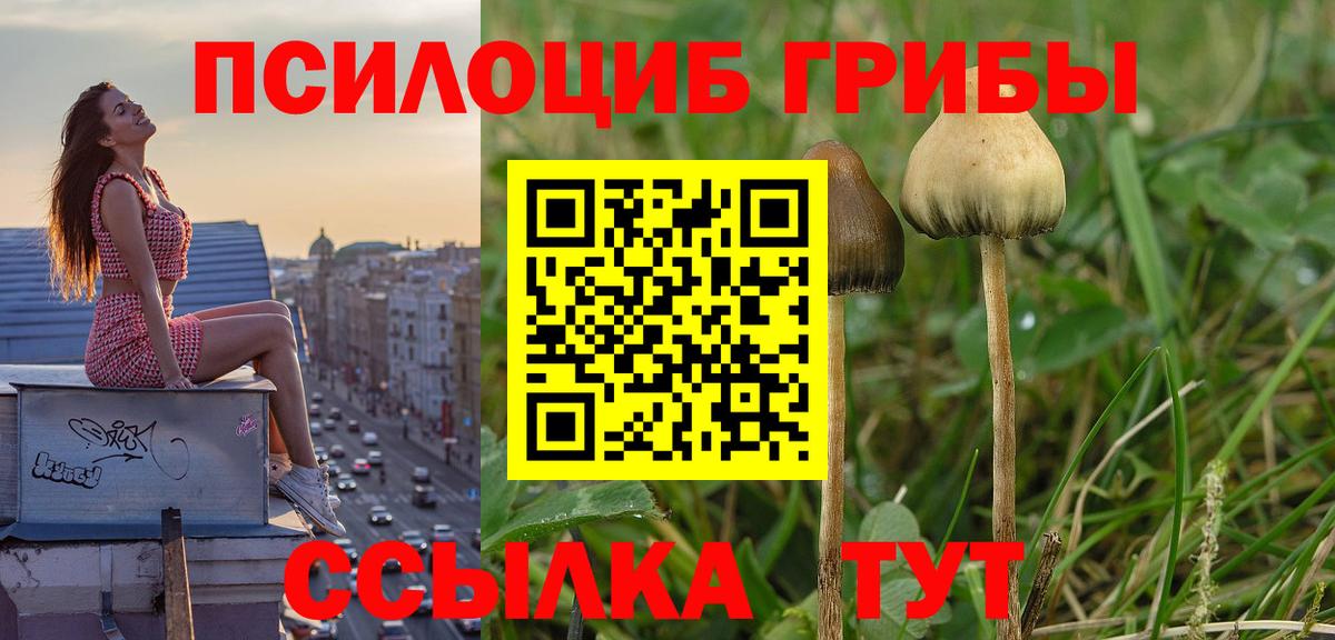 Галлюциногенные грибы MAGIC MUSHROOMS Богородицк